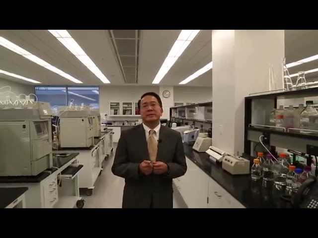 Epoch Essential Oils